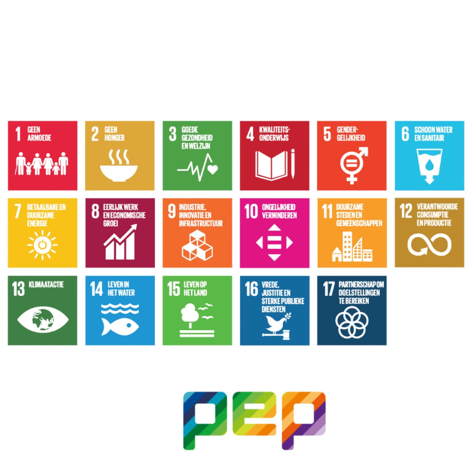 Afbeelding website PEP